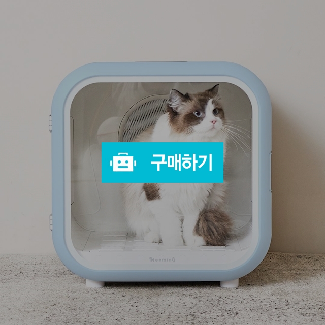 (본사) 히밍 펫 드라이룸 강아지 고양이 드라이기 소형견 7kg이하(히밍블루) / 히밍 / 디비디비 / 구매하기 / 특가할인