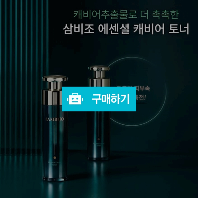 삼비조 에센셜 캐비어 토너 120ml 보습 진정 스킨 / 선도뷰티 / 디비디비 / 구매하기 / 특가할인