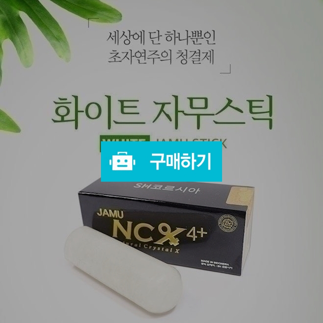 화이트자무스틱, 구독특가, 써니스토리님의 스토어 [디비디비] 화이트자무스틱 | 구독특가