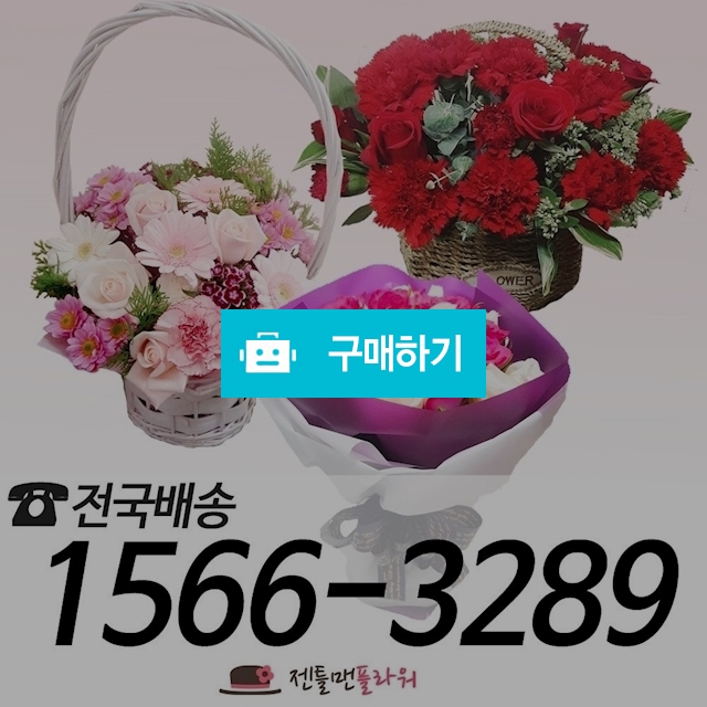 장미 꽃다발 꽃바구니 선물용 꽃 전국배송 / 젠틀맨플라워 / 디비디비 / 구매하기 / 특가할인