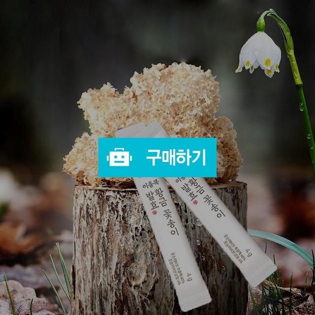 이용복 황금 꽃송이버섯 발효 분말 120g (30포) / 네오힐코 / 디비디비 / 구매하기 / 특가할인