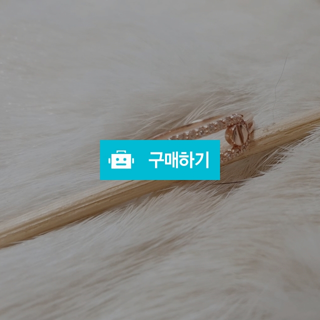 SARA 쥬얼리김 14K 큐빅클립 반지 / 사라 앤 쥬얼리김 / 디비디비 / 구매하기 / 특가할인