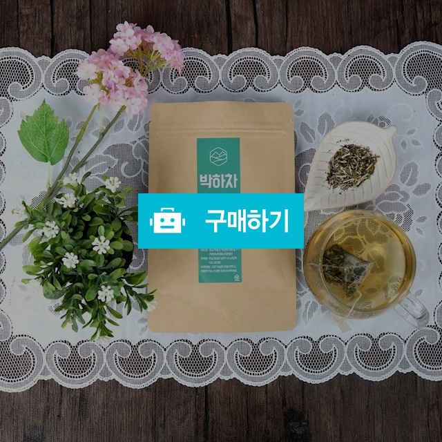 [한유]박하차 / 한국유기농 / 디비디비 / 구매하기 / 특가할인