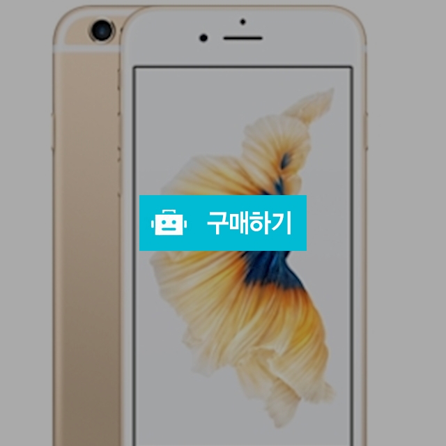 iPhone 6s(G) 64GB (박스폰) / 폰플레이님의 스토어 / 디비디비 / 구매하기 / 특가할인