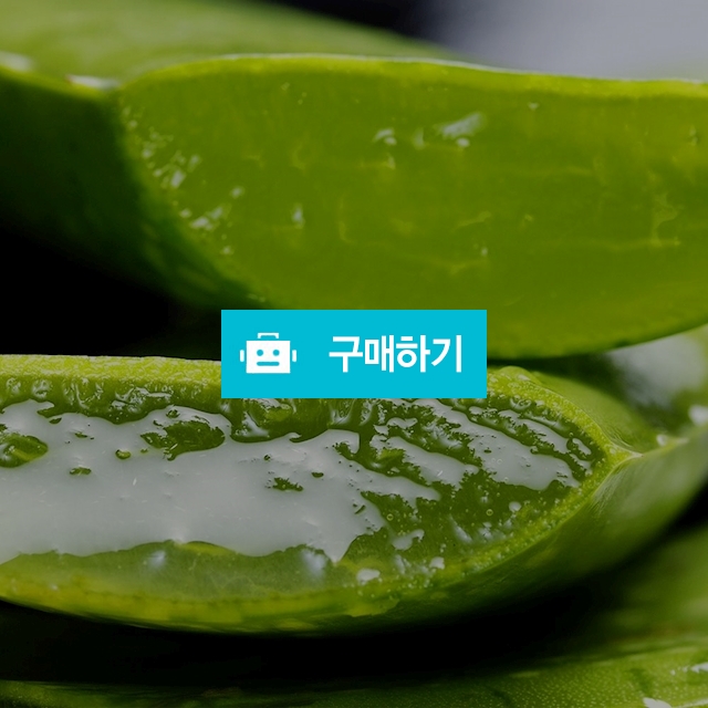알로에바라 생잎 1kg / 천년약초님의 스토어 / 디비디비 / 구매하기 / 특가할인