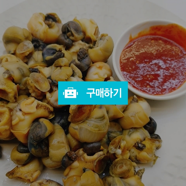 뱃고동2kg / 죽도마켓 / 디비디비 / 구매하기 / 특가할인
