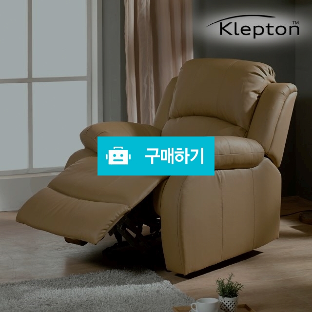 클렙튼 퍼스트클래스 리클라이너 1인용 가죽 소파 전동 8001 / 뷰티망고님의 스토어 / 디비디비 / 구매하기 / 특가할인