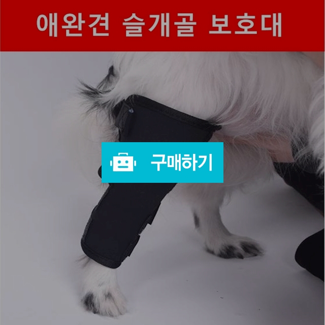 강아지슬개골보호대 애완견슬개골보호대 강아지관절보호대  / 싸닥9님의 스토어 / 디비디비 / 구매하기 / 특가할인