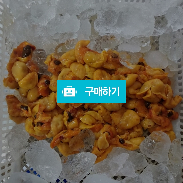 생 멍게 / 모두드림님의 스토어 / 디비디비 / 구매하기 / 특가할인