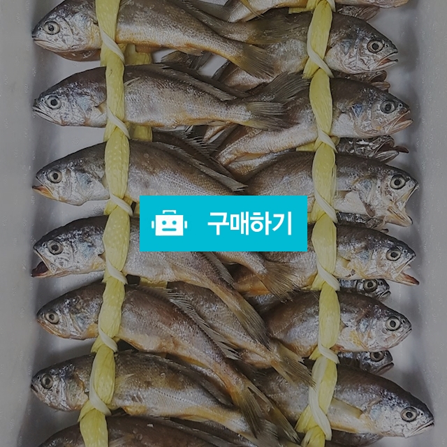 [산지직송] 법성포 영광굴비 40미 가정용 싼맛특가 / 전남영광 해영수산 / 디비디비 / 구매하기 / 특가할인