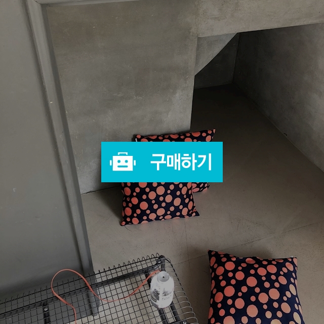 오렌지도트 쿠션커버 / casarococo님의 스토어 / 디비디비 / 구매하기 / 특가할인