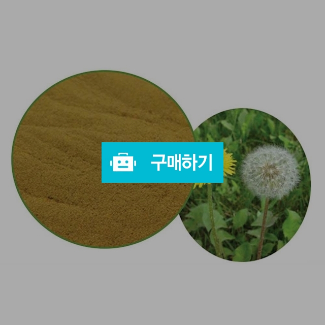 민들레추출분말 1kg / 엔트레이드코리아님의 스토어 / 디비디비 / 구매하기 / 특가할인