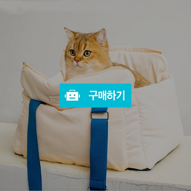 냥슬아치 고양이 강아지 애견 솜털 푹신 이동가방 슬링백 산책 숄더백 / 냥슬아치님의 스토어 / 디비디비 / 구매하기 / 특가할인