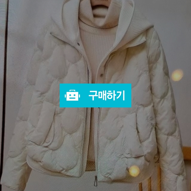 여성 구스다운패딩 하프 패딩 누빔 캐주얼 후드점퍼 / 진희 패션샵 / 디비디비 / 구매하기 / 특가할인