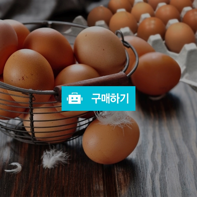 [시선] HACCP인증 쫀득쫀득한 영양간식 구운계란 40개 / 온라인대장님의 스토어 / 디비디비 / 구매하기 / 특가할인