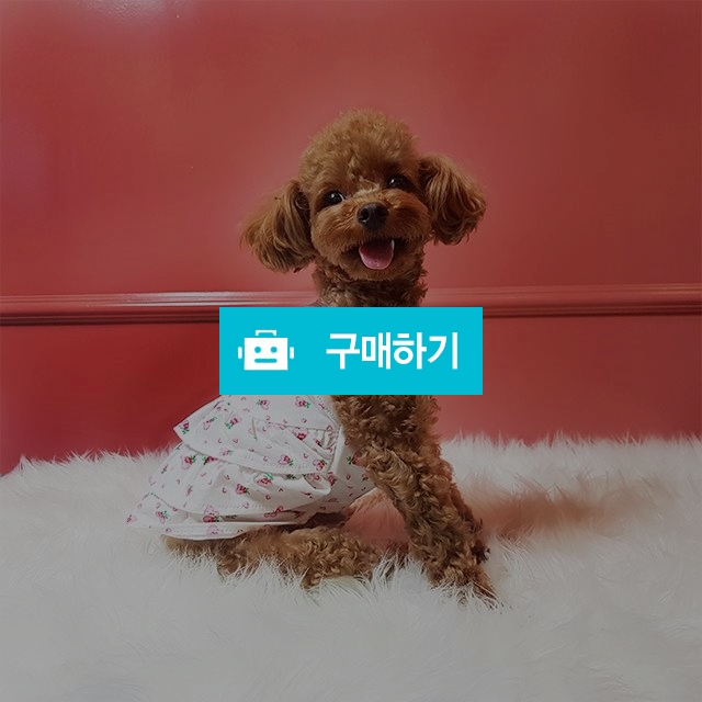 강아지옷 모던퍼피 하트 프릴원피스 / 모던퍼피님의 스토어 / 디비디비 / 구매하기 / 특가할인