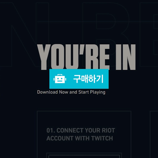 [NA] 발로란트 베타키 계정 판매 - 미사용 - 이메일&비번 변경 가능 / il2cpp님의 스토어 / 디비디비 / 구매하기 / 특가할인
