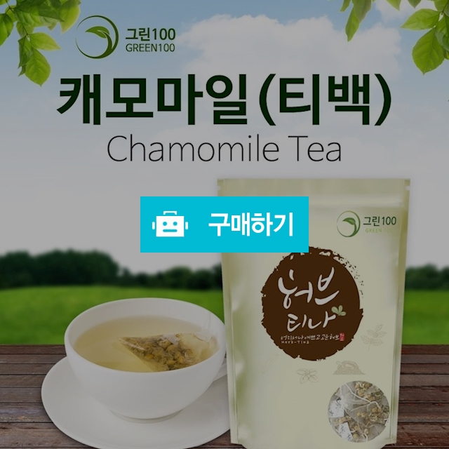 한방차 직거래 장터 / 대구보더님의 스토어 / 디비디비 / 구매하기 / 특가할인