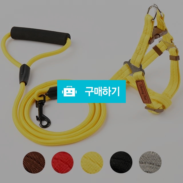 강아지 Y형 하네스 가슴줄 / 유봉펫 / 디비디비 / 구매하기 / 특가할인