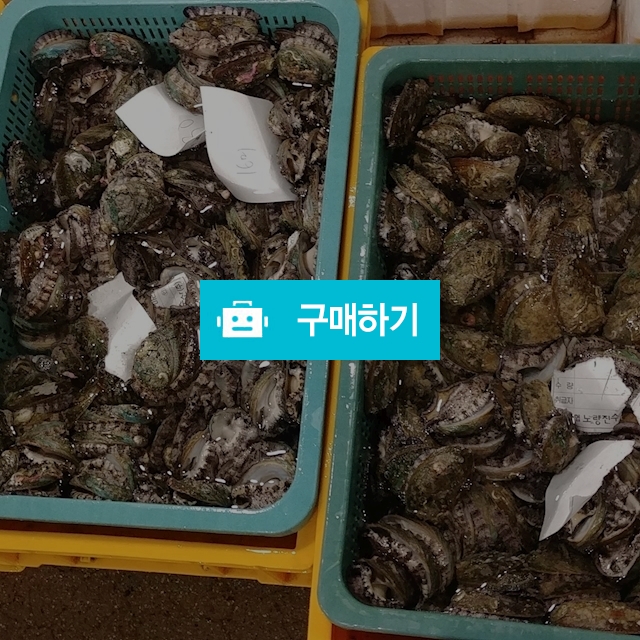 전복 12/13미 / 성진님의 스토어 / 디비디비 / 구매하기 / 특가할인