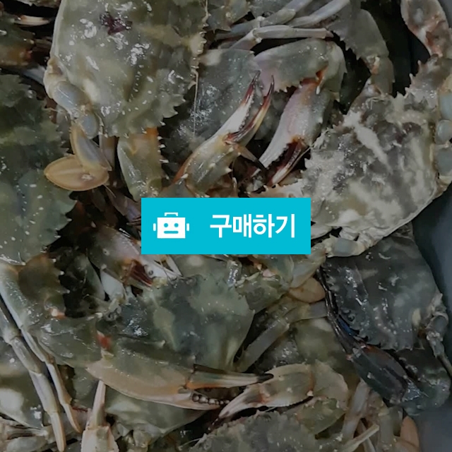 간장 돌게장 / love1203 / 디비디비 / 구매하기 / 특가할인