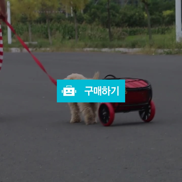 ﻿너도일해라 파트라슈 강아지 수레 소형견 모델 / 트렌디N / 디비디비 / 구매하기 / 특가할인