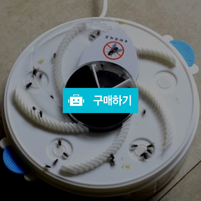 파리 잡는 기계 잡기 없애기 트랩 유인 제거 똥파리 / 바바쇼이 / 디비디비 / 구매하기 / 특가할인