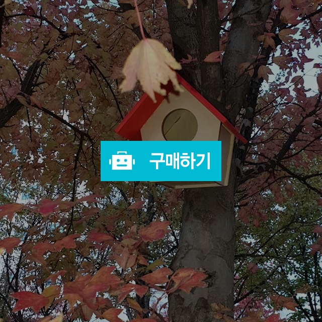 새장 잉꼬새 새집 알통 / 새장 부엉이엘이디무드등 / 디비디비 / 구매하기 / 특가할인