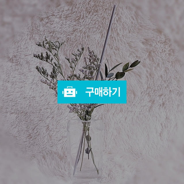 그린 프리저브드 120ml 실내 디퓨저 / Supia님의 스토어 / 디비디비 / 구매하기 / 특가할인