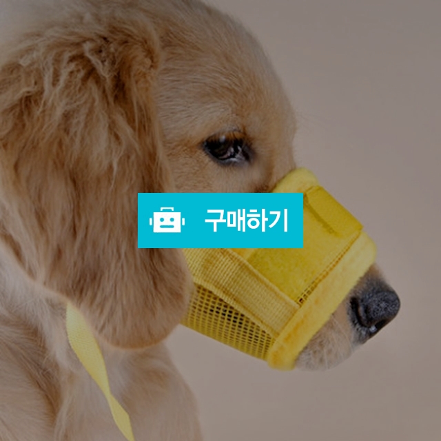 데일리 메쉬 입마개 애견입마개 / 마이독님의 스토어 / 디비디비 / 구매하기 / 특가할인