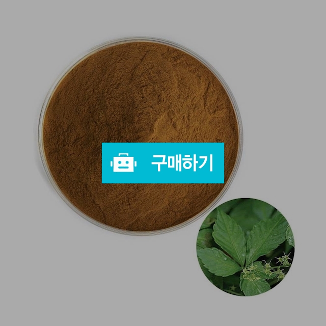 돌외잎추출분말 100g 샘플 / 엔트레이드코리아님의 스토어 / 디비디비 / 구매하기 / 특가할인