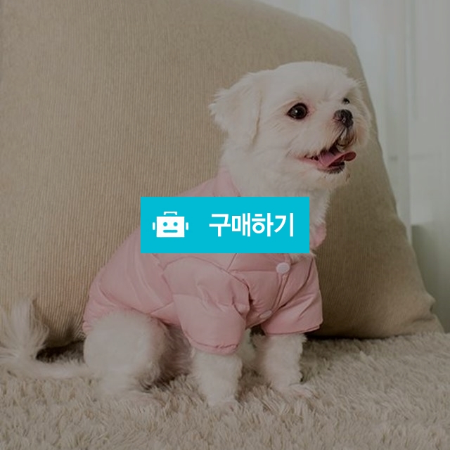 강아지 패딩 점퍼 겨울옷 / 다팔어몰 / 디비디비 / 구매하기 / 특가할인