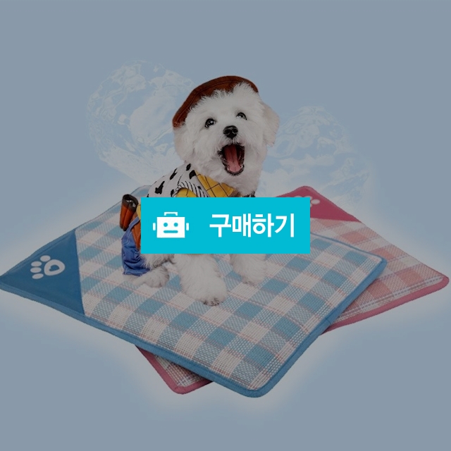 강아지 고양이 체크 여름매트 애견쿨매트 / 마이독님의 스토어 / 디비디비 / 구매하기 / 특가할인