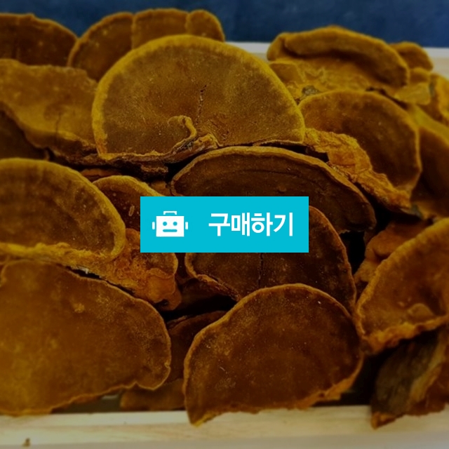 상황버섯 국산 국내 자연산 (재배아님) 야생 상황버섯 300g (갓형태 상황버섯)고급  / 보스타임상황버섯님의 스토어 / 디비디비 / 구매하기 / 특가할인