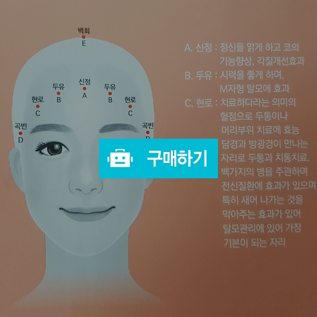 그레이스펄괄사 / 그레이스펄님의 스토어 / 디비디비 / 구매하기 / 특가할인
