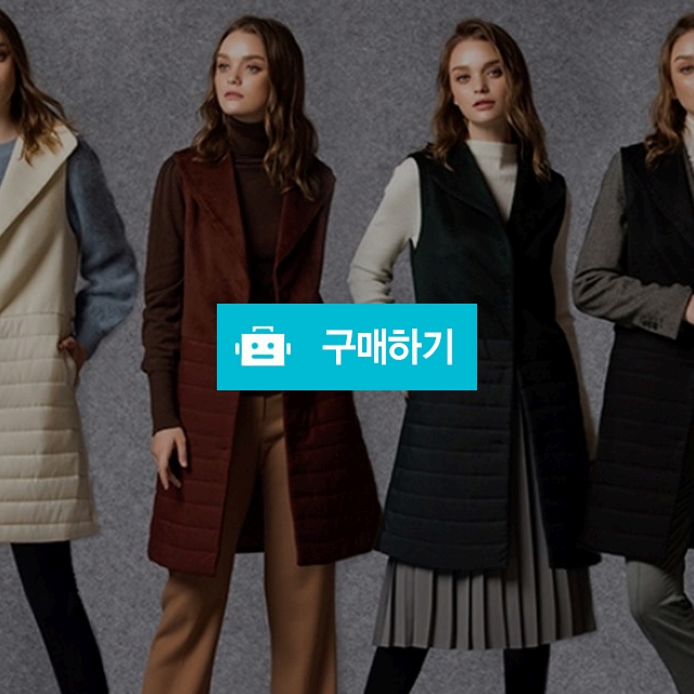 패딩 베스트 3종 택1 / 청아한님의 스토어 / 디비디비 / 구매하기 / 특가할인