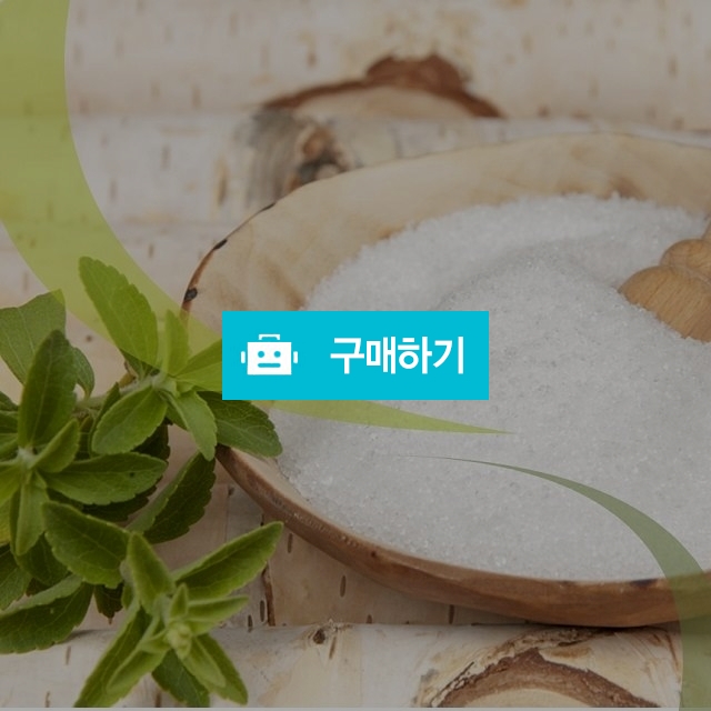 웰빙 100% 핀란드산 자이리톨/자일리톨 / 베니스의상인님의 스토어 / 디비디비 / 구매하기 / 특가할인