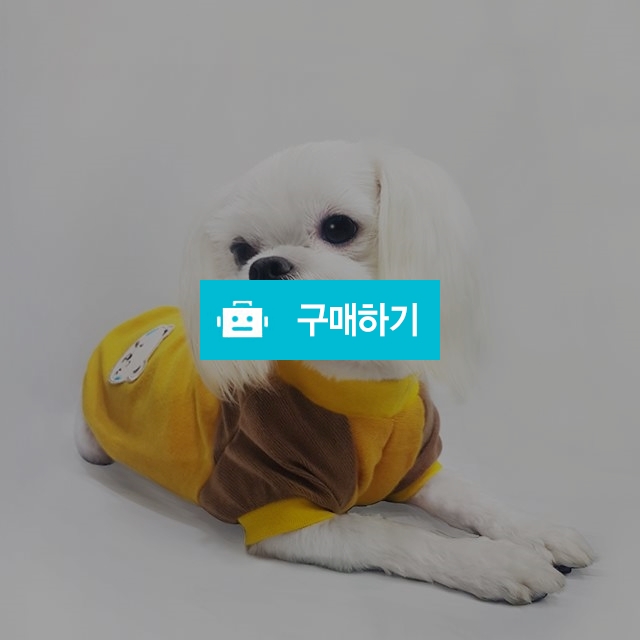 강아지옷 곰돌이 투톤 티셔츠 / 모던퍼피님의 스토어 / 디비디비 / 구매하기 / 특가할인