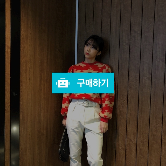 지도리 퍼프 니트맨투맨 / 안녕릴리 / 디비디비 / 구매하기 / 특가할인
