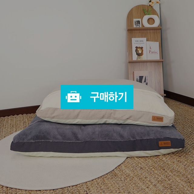 개과천선 하이드 애견 방석 침대 강아지 방석 슬개골 예방 마약방석 고양이 숨숨집 / 개과천선 / 디비디비 / 구매하기 / 특가할인