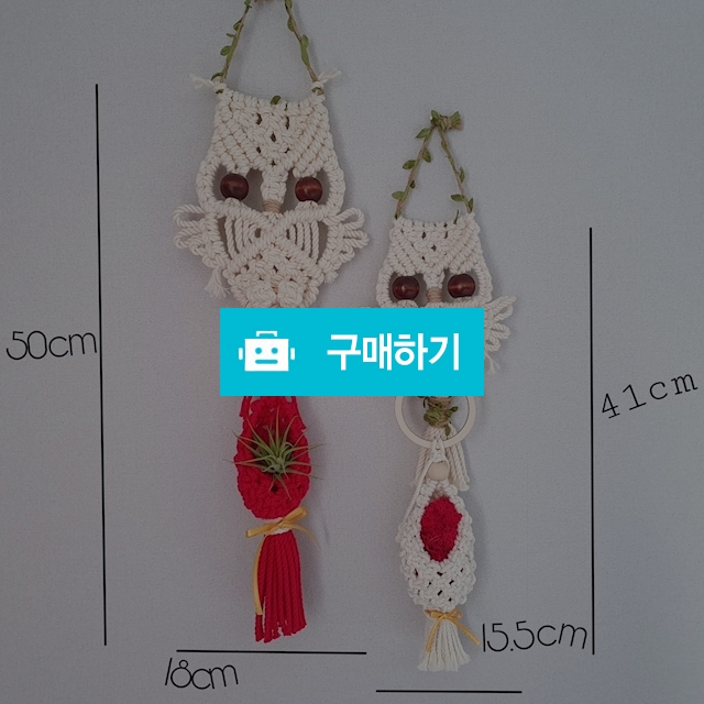 복주머니를 든 부엉이 2020 새해선물 / 노을빛 / 디비디비 / 구매하기 / 특가할인