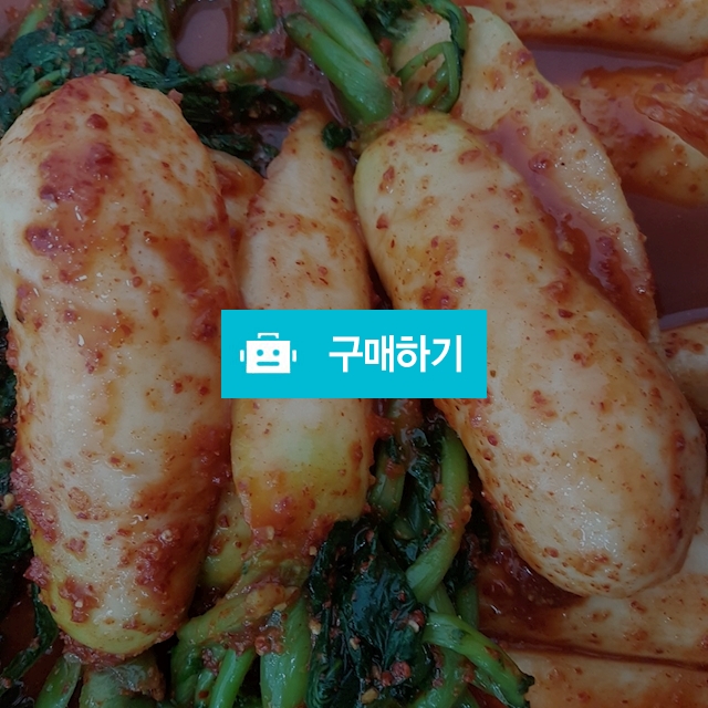 알타리김치 / love1203 / 디비디비 / 구매하기 / 특가할인