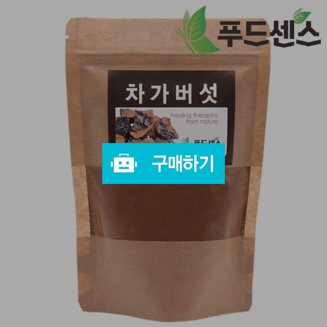 러시아산 차가버섯 분말 가루 180g / 푸드센스 / 디비디비 / 구매하기 / 특가할인
