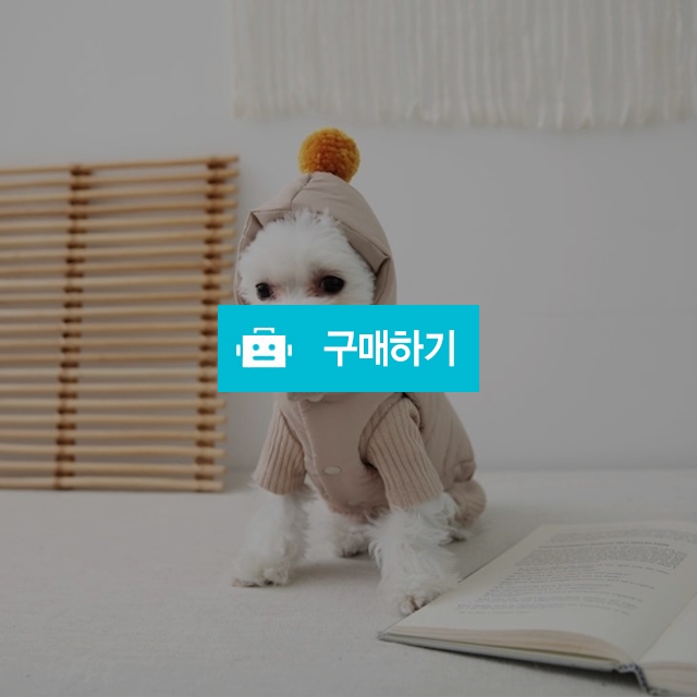 퐁퐁 후드패딩조끼  / 밍밈님의 스토어 / 디비디비 / 구매하기 / 특가할인