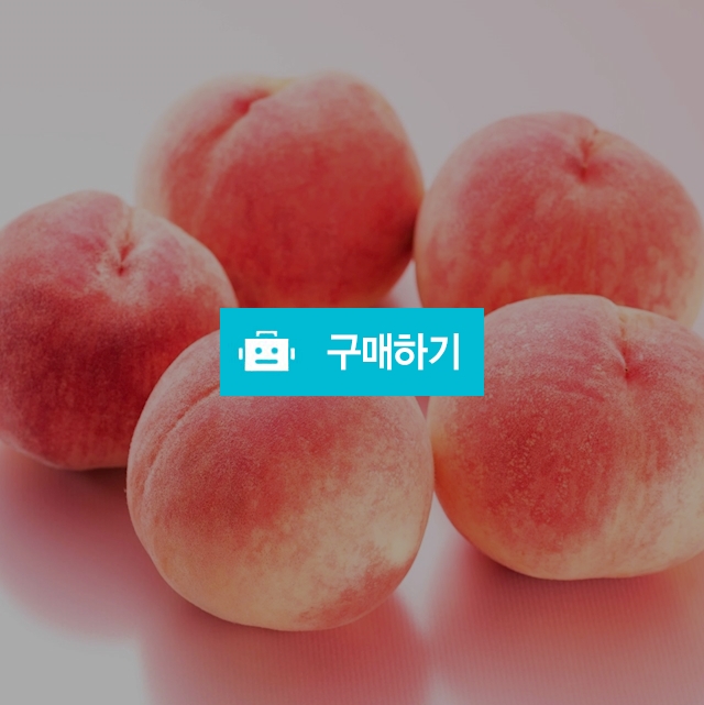 말랑말랑 백도 복숭아 2kg  / 영 프루트 Young Fruits / 디비디비 / 구매하기 / 특가할인