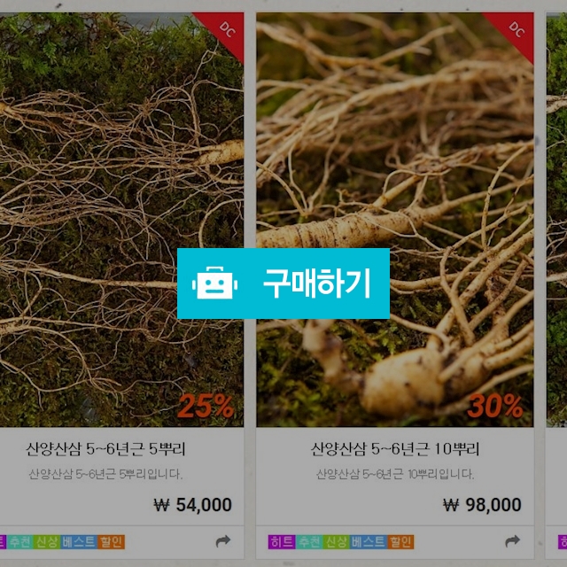 산양삼 / 헬프미님의 스토어 / 디비디비 / 구매하기 / 특가할인