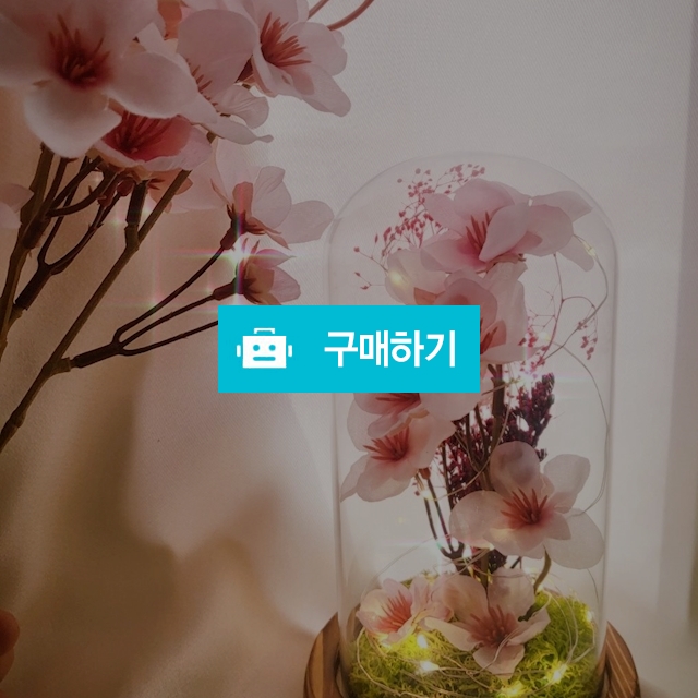 벚꽃엔딩 무드등 인테리어 조명 카페 여름 선물 꽃 벚꽃 / 인생꽃같다 / 디비디비 / 구매하기 / 특가할인