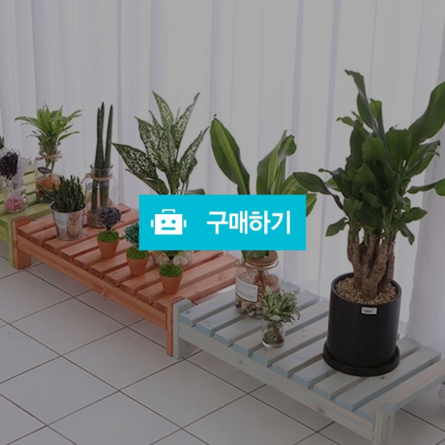 원목 화분 받침대 정리대 진열대 다용도 갈빗살 / 와우리빙님의 스토어 / 디비디비 / 구매하기 / 특가할인