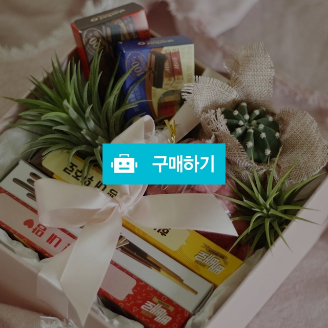 빼빼로데이 홈가든박스 / Floristyeseul937님의 스토어 / 디비디비 / 구매하기 / 특가할인