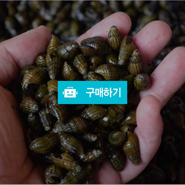 섬진강 자연산 다슬기즙 120ml 60포 / 불로장생 / 디비디비 / 구매하기 / 특가할인
